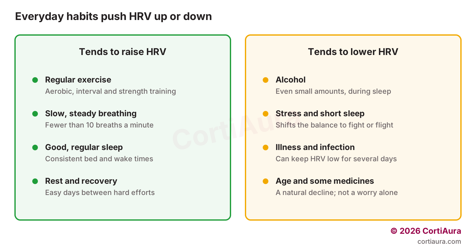 Two panels: exercise, slow breathing, good sleep and recovery tend to raise HRV; alcohol, stress, illness, age and some medicines tend to lower it
